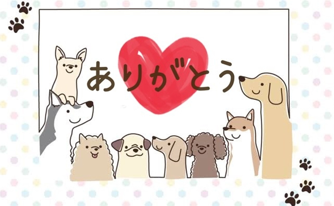 サンキューレター