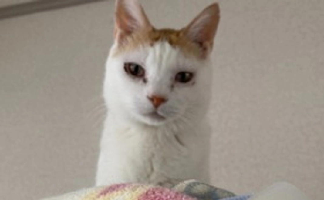 【定期サポート】1,000円コース