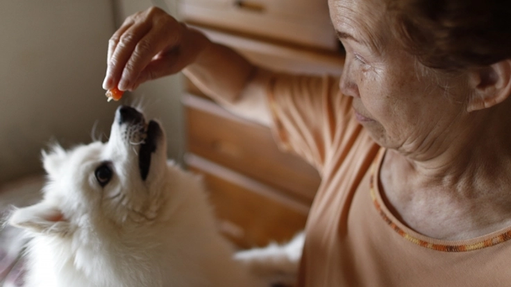 愛犬とも、障がいのある子どもとも、最後まで暮らせる施設をつくりたい