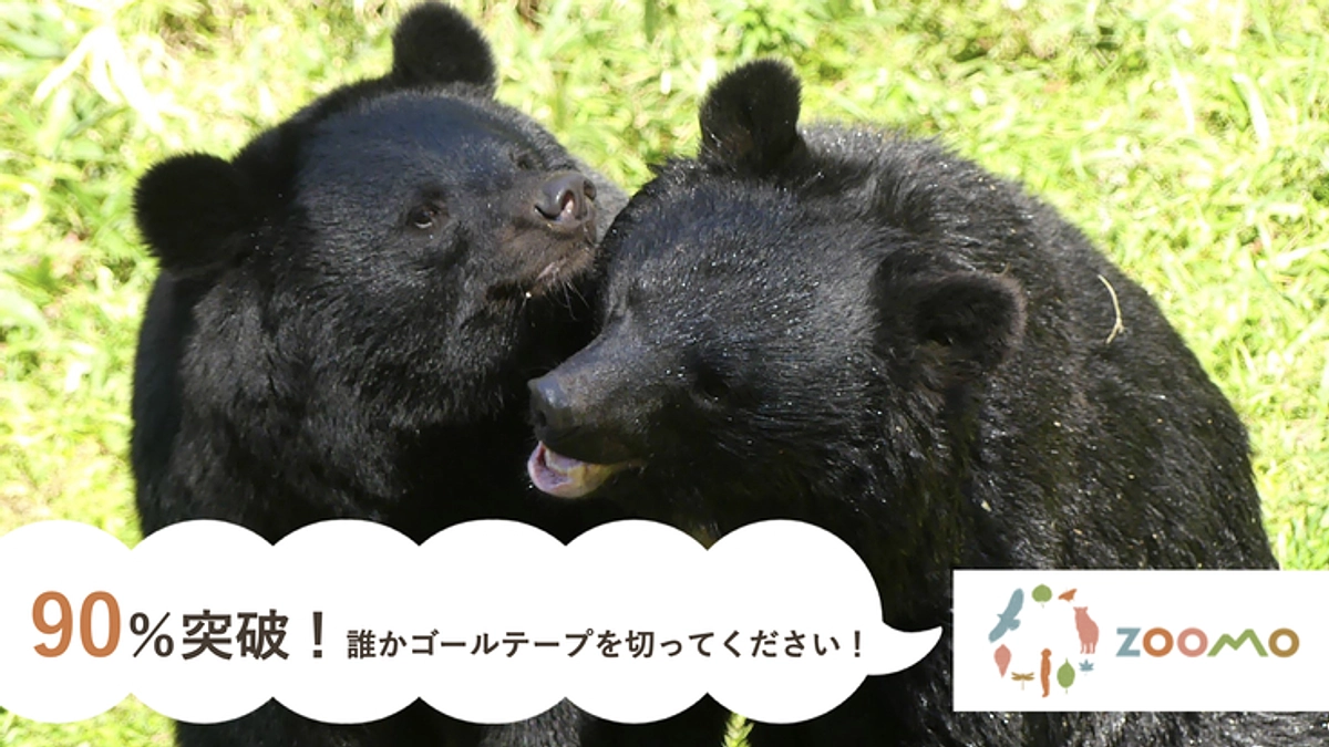 【90%突破！】ご支援の御礼と応援コメントのご紹介第六弾！達成まであと一息です！