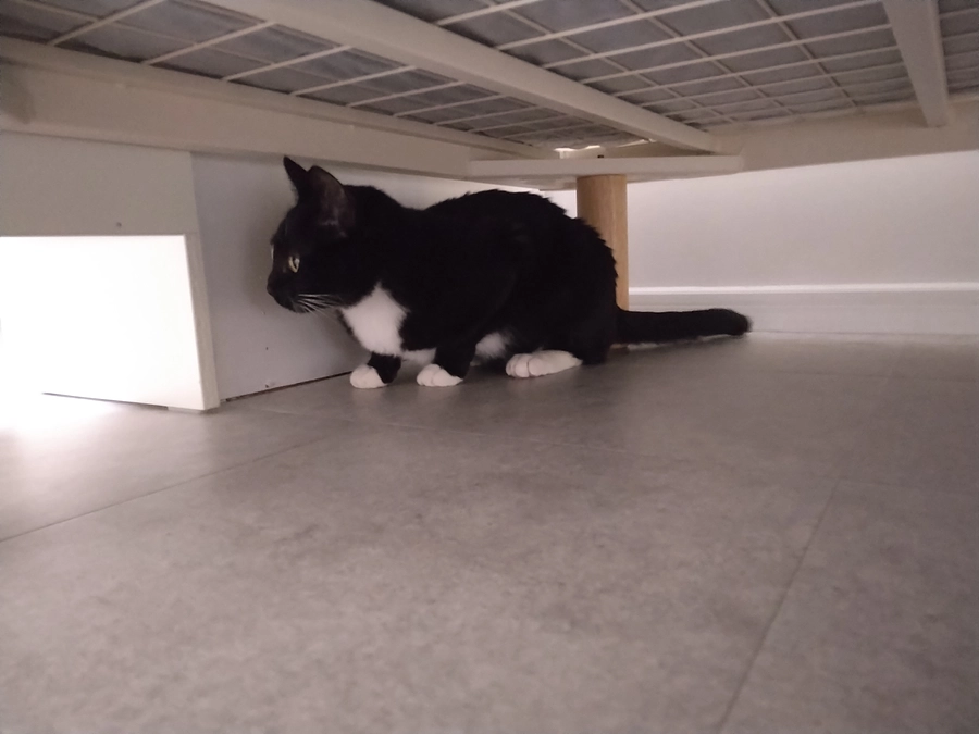 3/6はなちゃんの様子