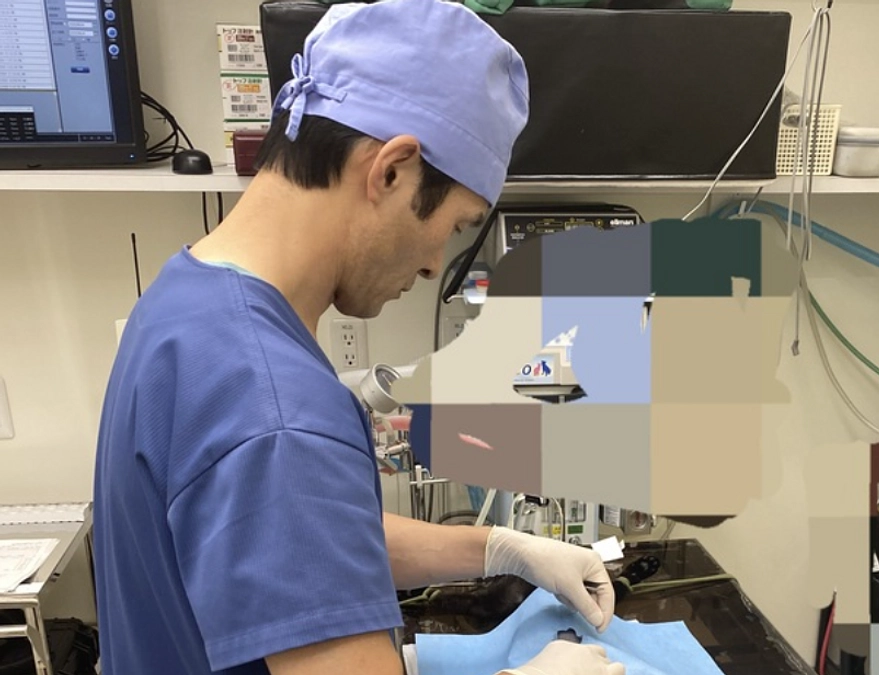 【あと4日！】ポウ動物病院さんより応援メッセージいただきました！