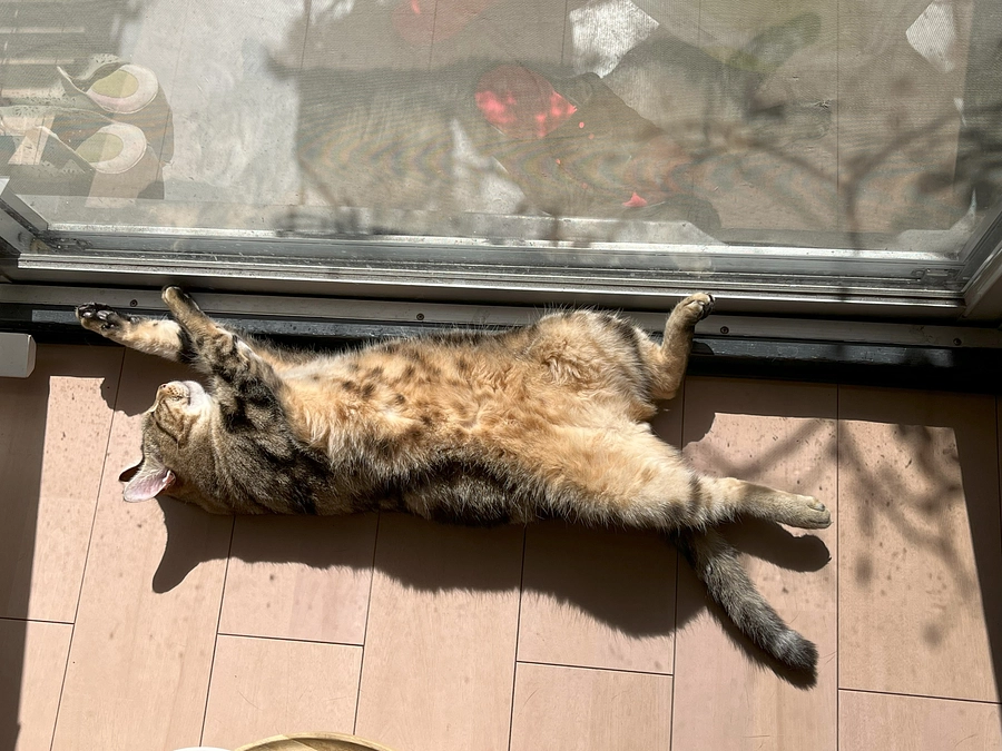 クラファンあと10日です、時間がありません応援＆拡散お願いします