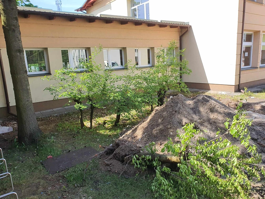 現在の庭園予定地