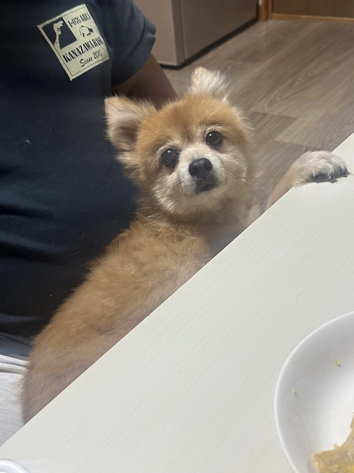 凛ちゃんも頑張ってます‼️