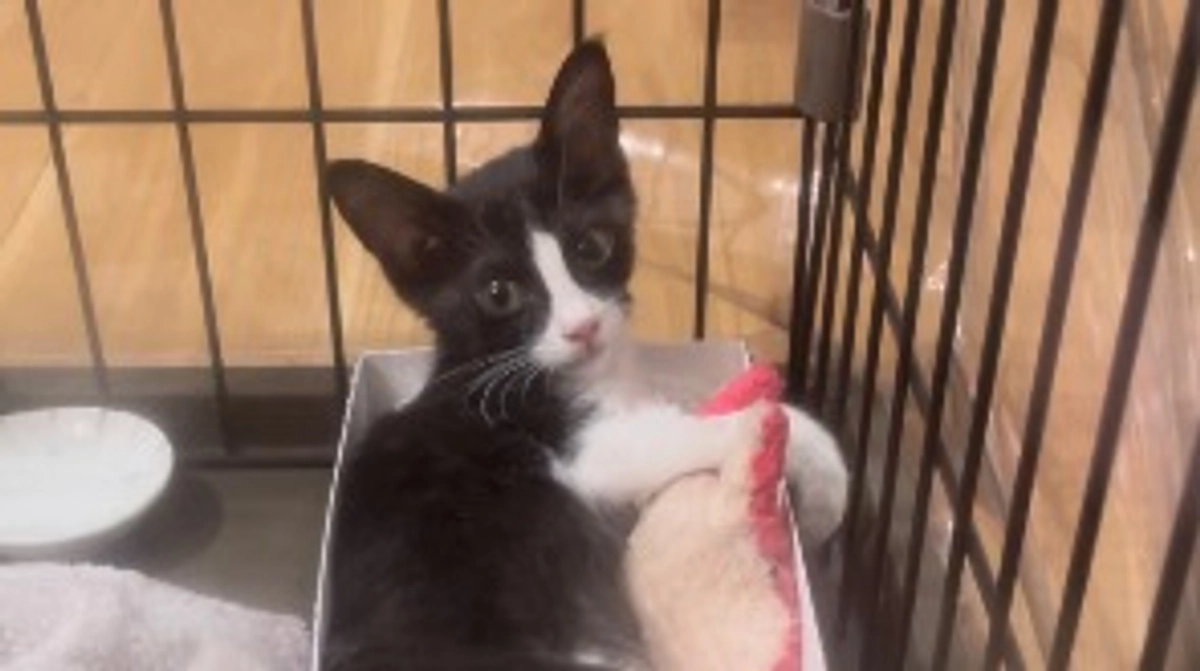 4回目の入院を乗り越えて