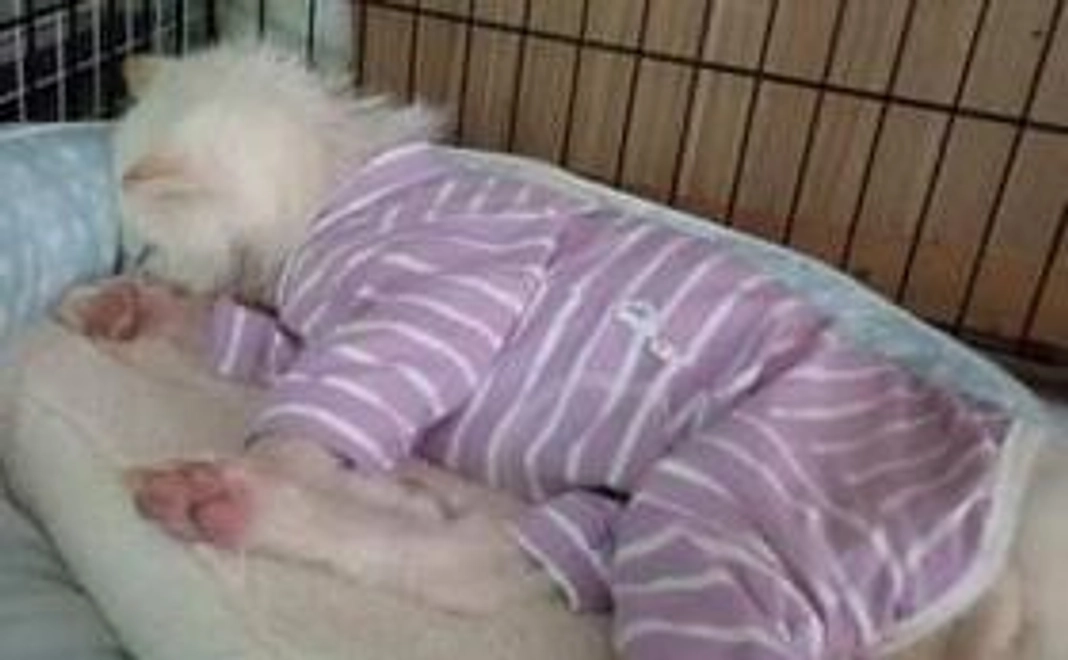 ランチのおすそ分け〜おいしいご飯を一緒に〜