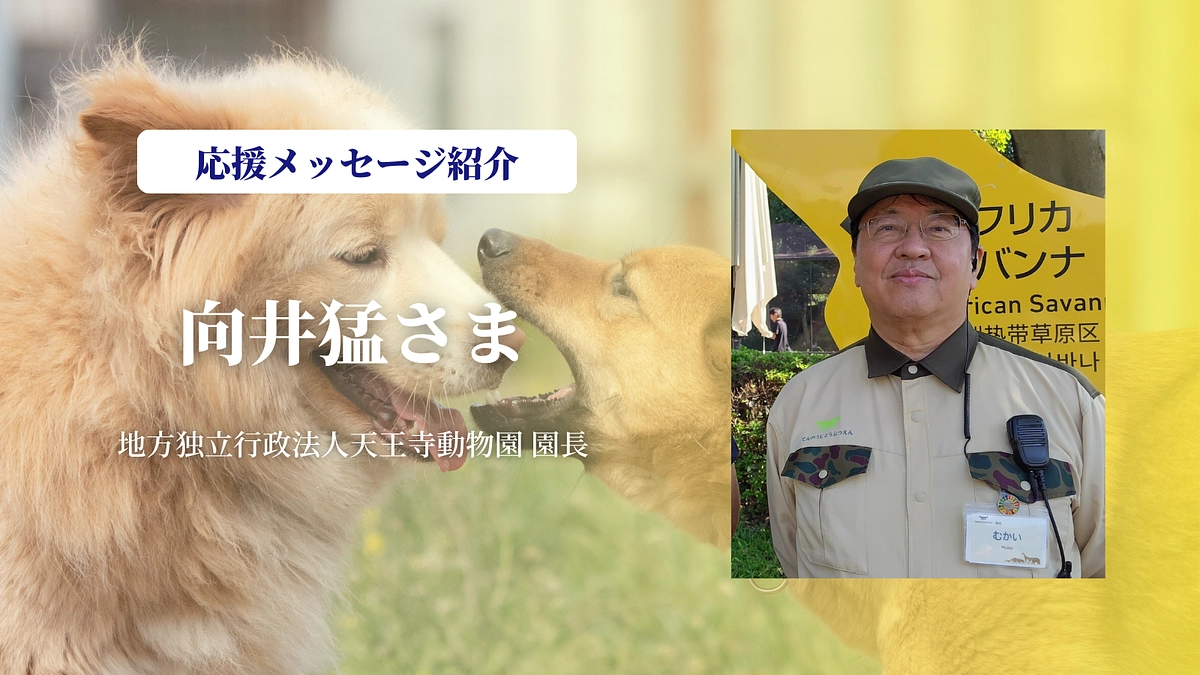 天王寺動物園 園長の向井猛さまより、温かい応援のメッセージをいただきました