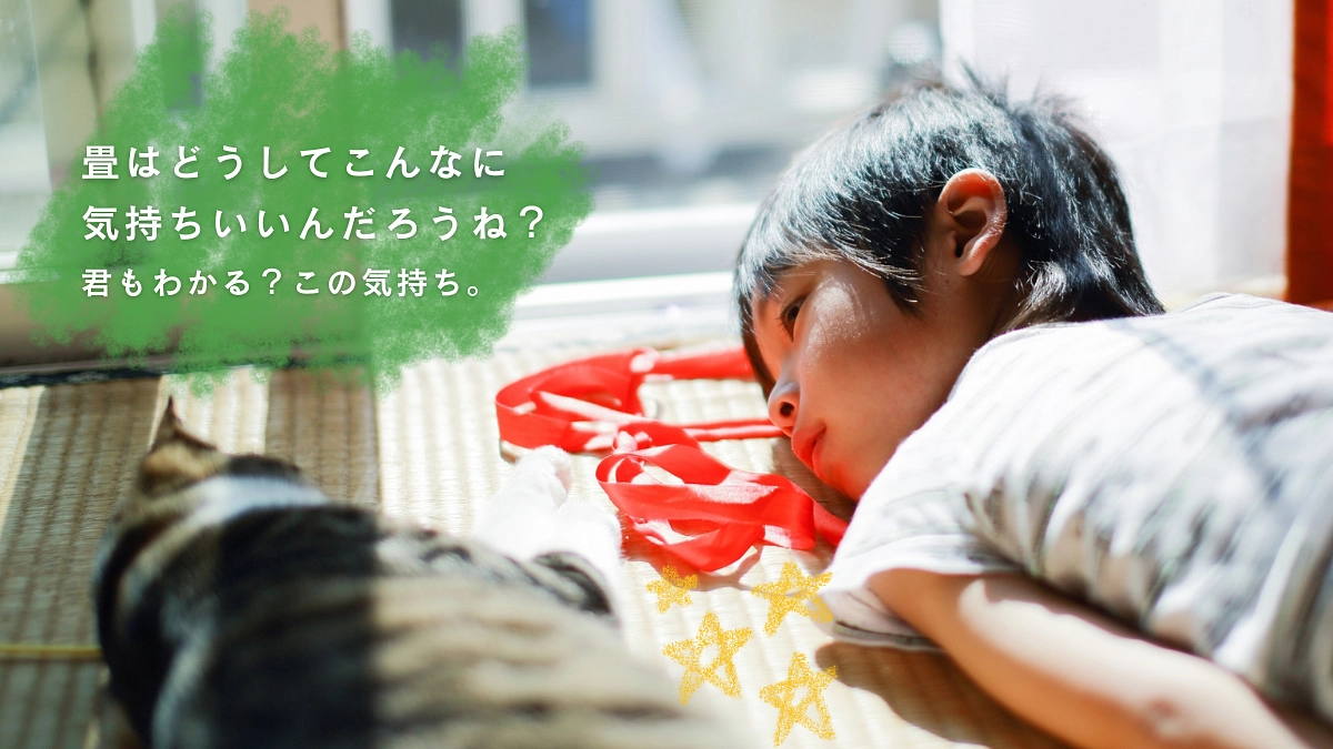 これまでの活動を振り返り、いざ販売準備へ！