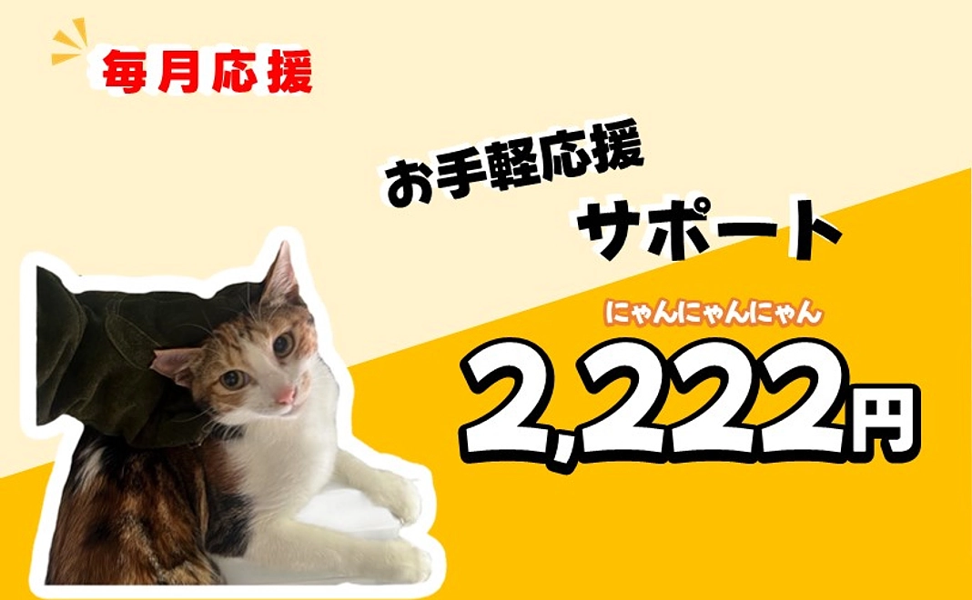 お手軽応援サポート