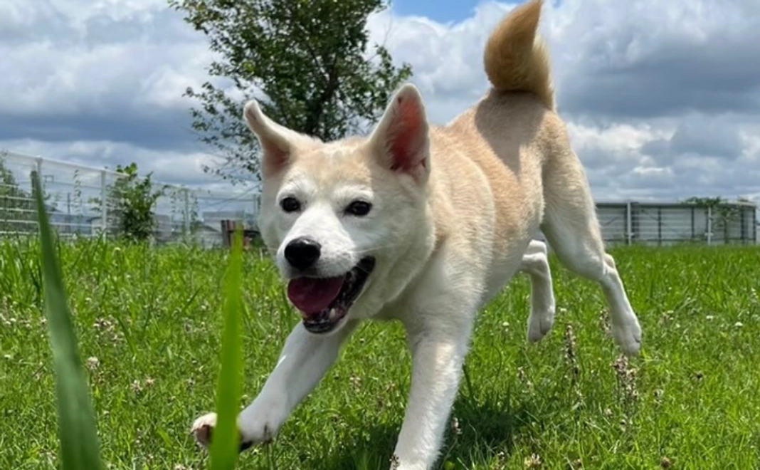 お気持ちコース｜10,000円