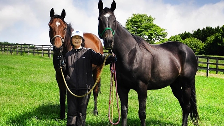 北海道日高・髙村牧場のプラセンタで限定品の美容液を作りたい!