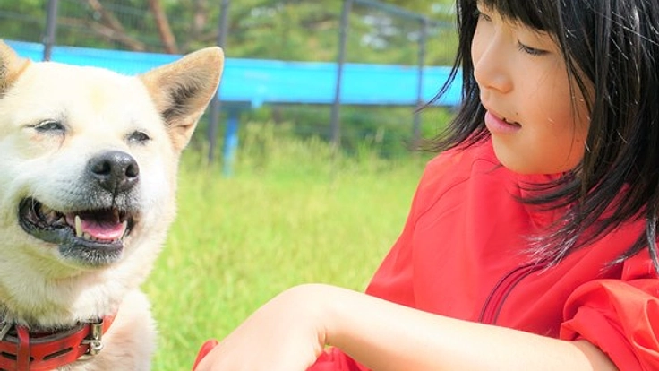 殺処分を逃れたワンコが無自覚性低血糖患者を救うアラート犬に！