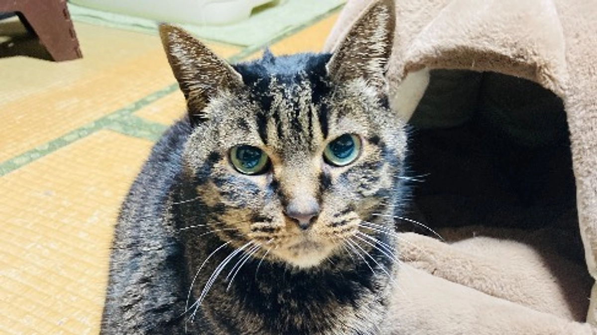 今日も今日とてトライアルへ