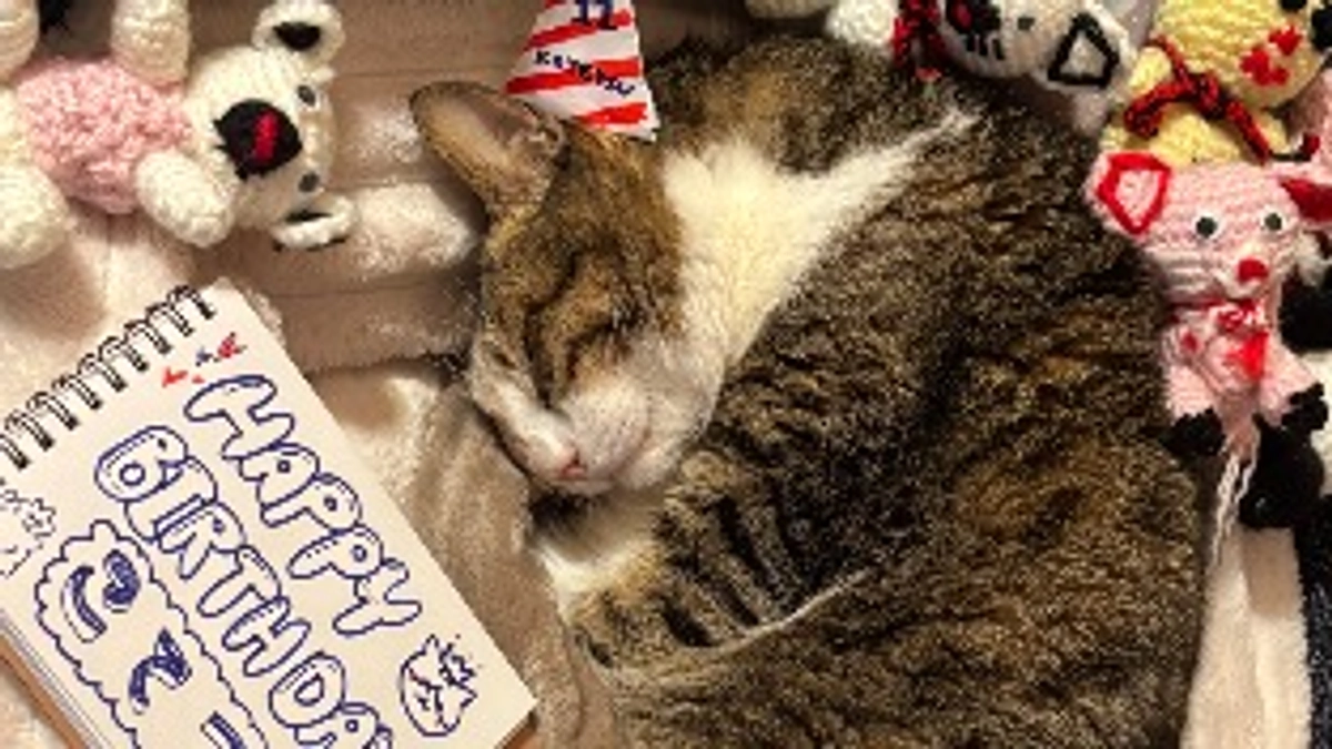 クラファン公開日ご挨拶