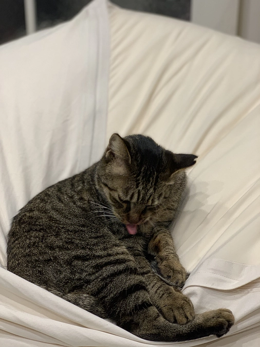 クラウドファンディング6日目