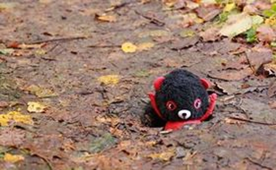 ばんくんからのお手紙