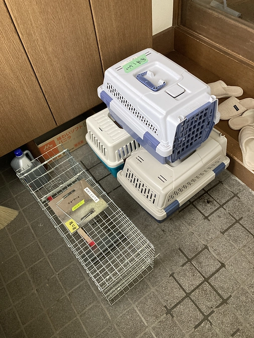 4/3の出張不妊去勢手術打ち合わせ