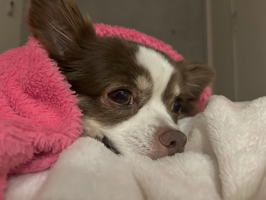 2023.11.25  本日22時から、インスタライブをさせていただきます🔔