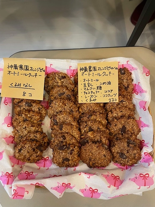 【2024年4月の活動報告】