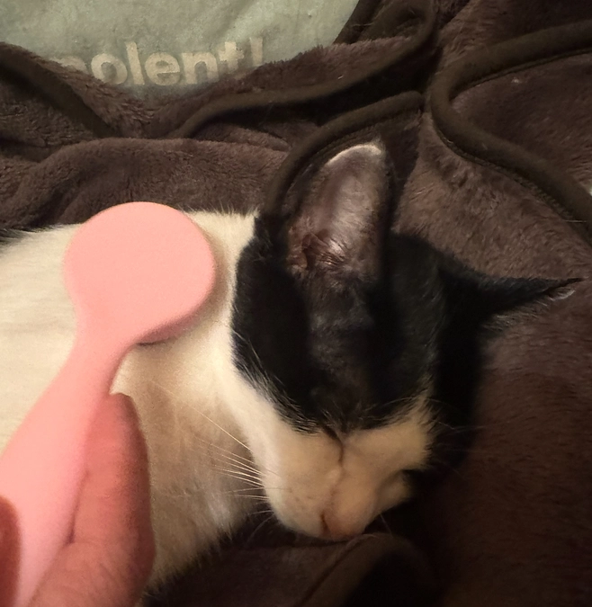 食欲の春夏秋冬ーアテネ