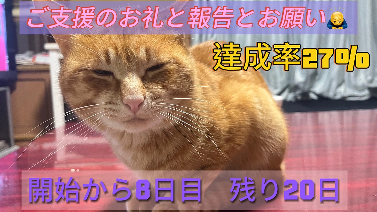 ご支援のお礼と報告とお願い（3/8）