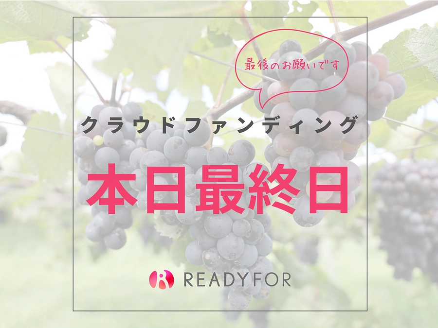 本日クラウドファンディング最終日です。