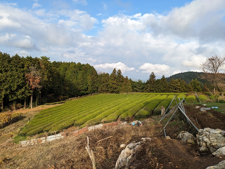 80才でも夢があると言えるのが、すごい！