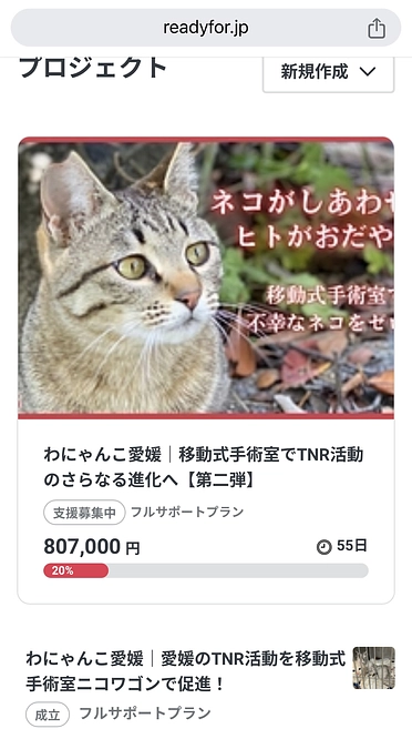 20%到達しました‼️皆様のお気持ちに感謝しかないです
