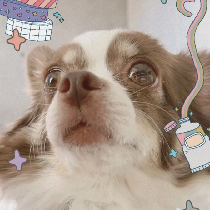 2023.12.16 術後11日目。