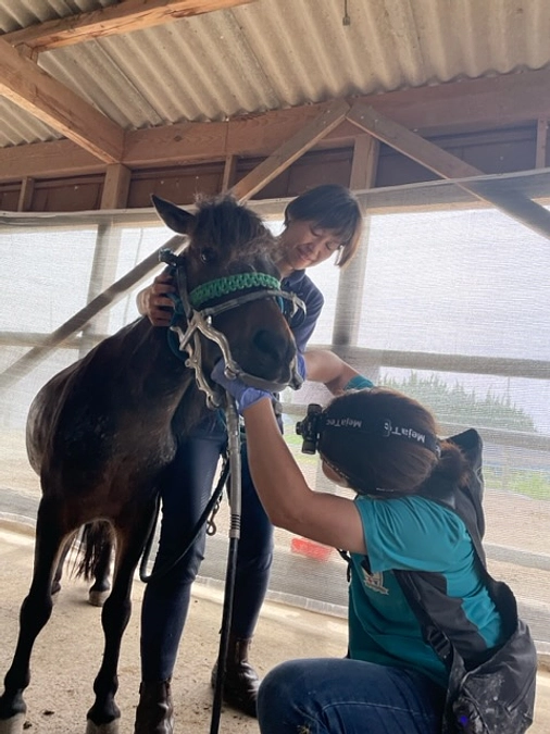 あんらいえんホースを支える方々♥️その②