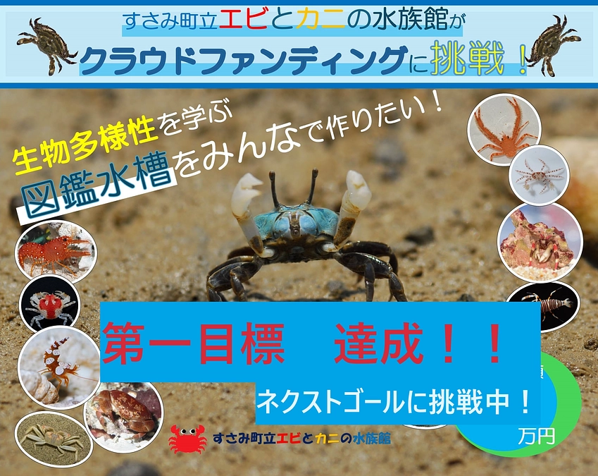 第一目標達成しました！ご支援ありがとうございます！ネクストゴールに挑戦中！！