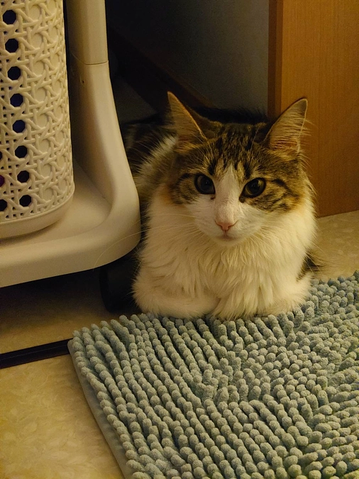 達成いたしました