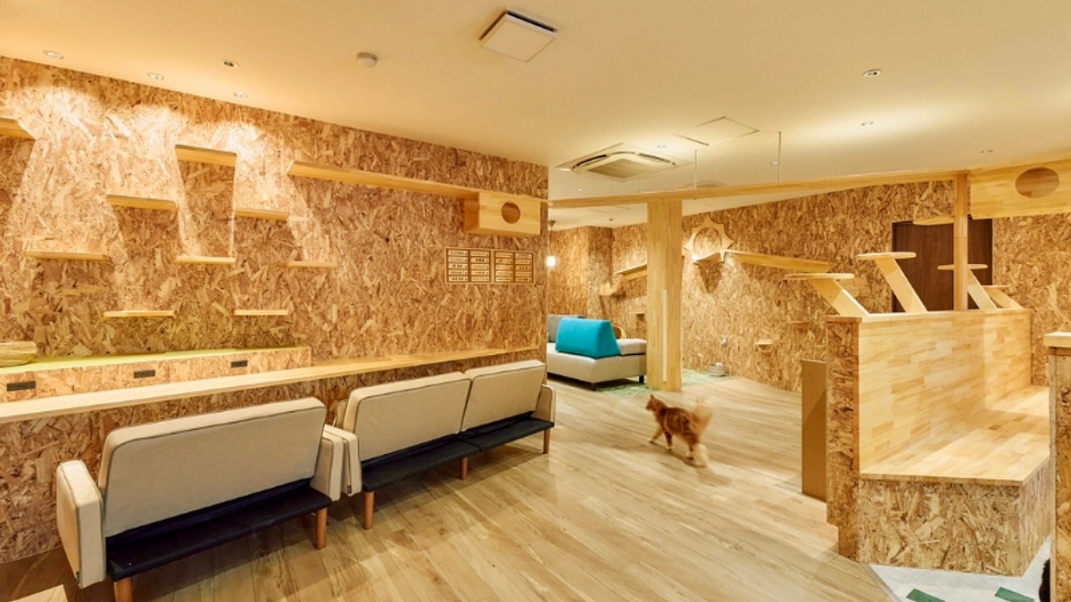 【ぽちとたま】×【ねことカフェ】が実行する役割