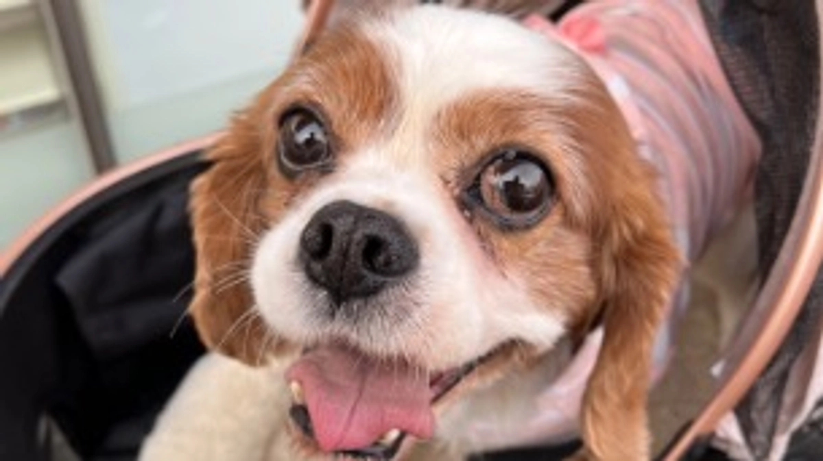 術後3日目です。