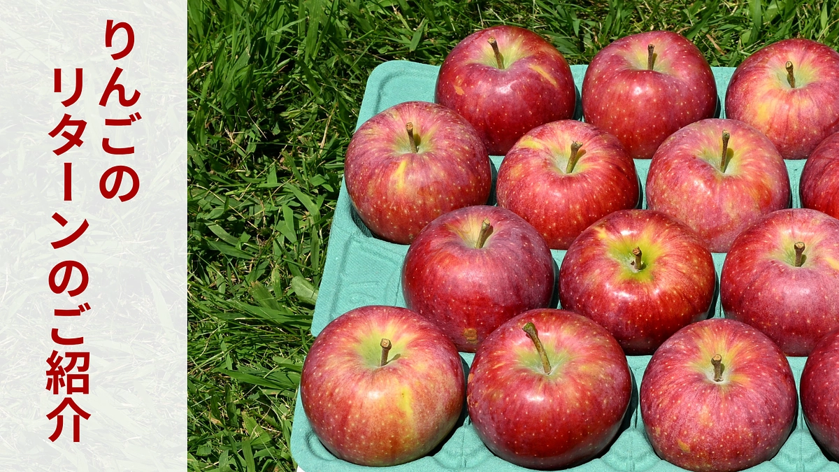 【食べて＆使って応援！】りんごのリターンのご紹介