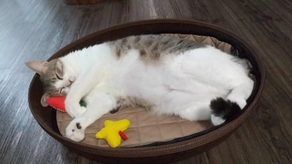 ご協力お願いいたします🙇‍♀️