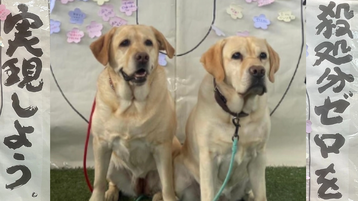 【終了まであと1時間…！】みんなの思いで殺処分ゼロへ。そしてその先へ。