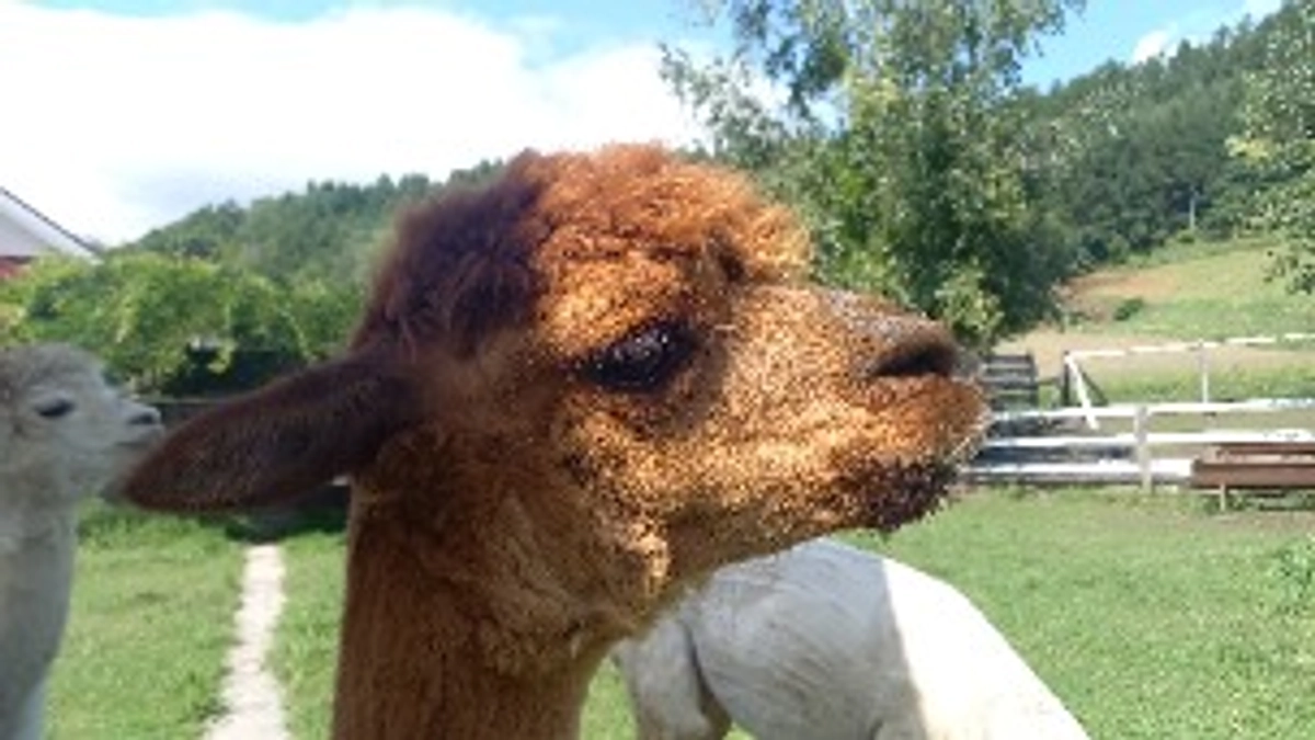 10/02　NHKニュースの中で紹介されました