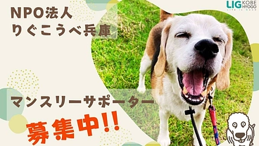 長期保護を余儀なくされる動物たちの、保護活動費にご協力を！ のトップ画像