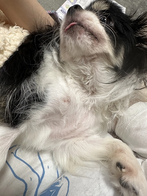 あと30分をきりました！