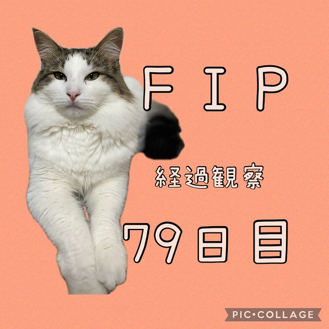 ぬくぬくまったり🌷