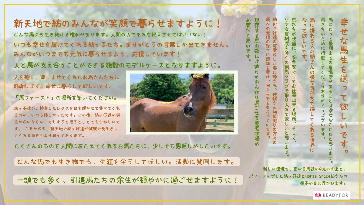 【400万円突破！】馬を思う皆様の温かい思いに感動しています。全力で駆け抜けます！