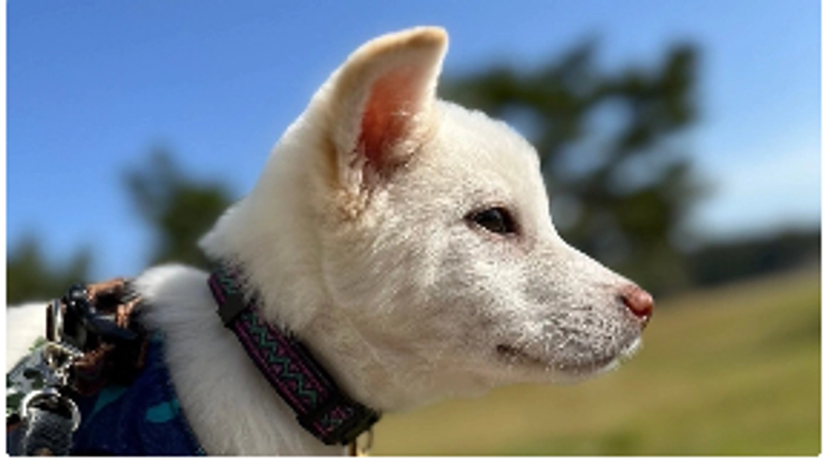 【皆様への感謝とご挨拶】今回のプロジェクトに、大きな思いと夢をかけています。