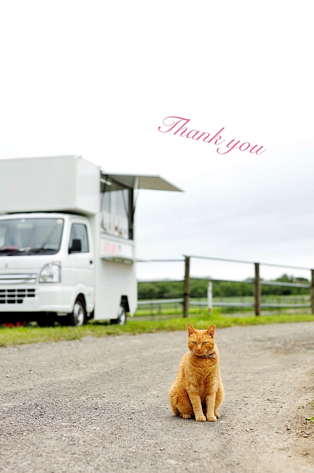 応援メッセージのご紹介⑧