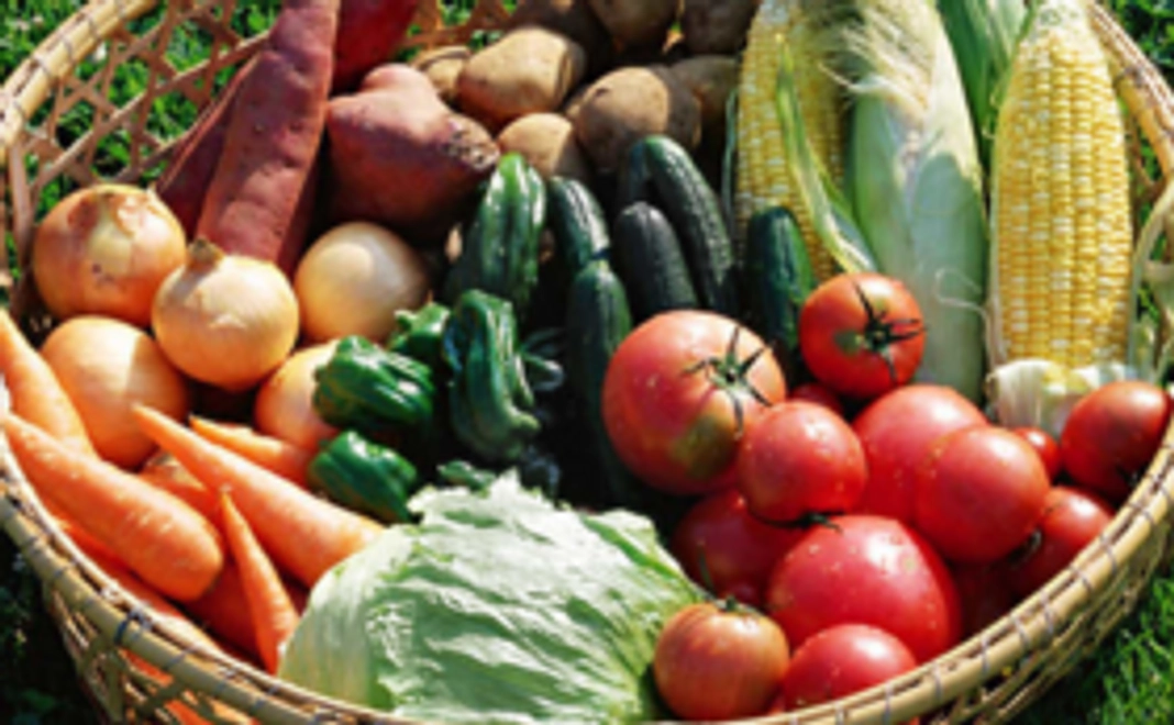 農家さんの野菜セット（小）＋サンクスレター