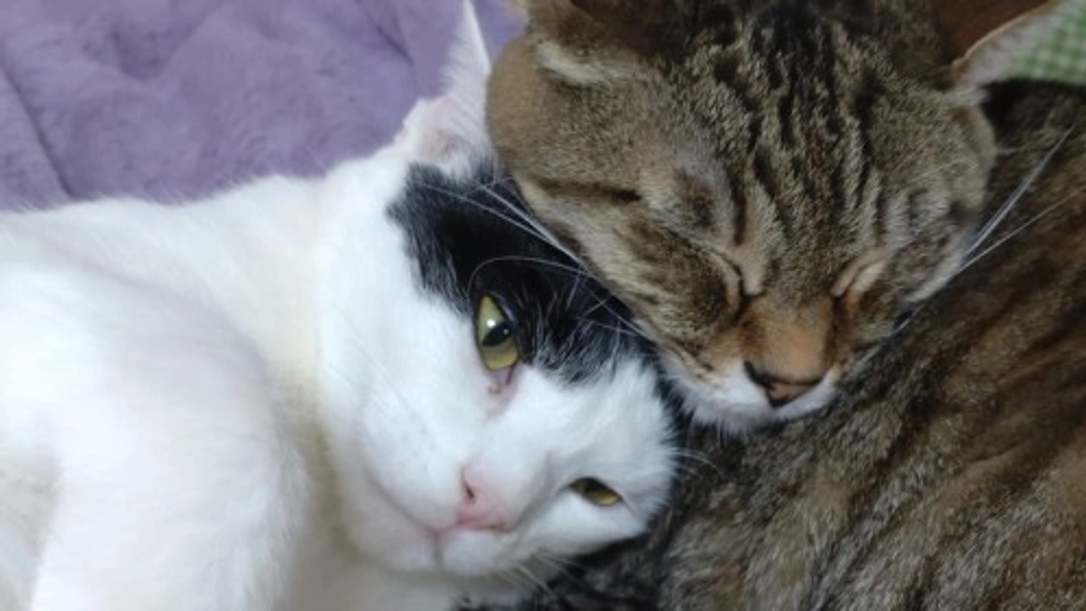 店舗移転のプロジェクトを立ち上げています