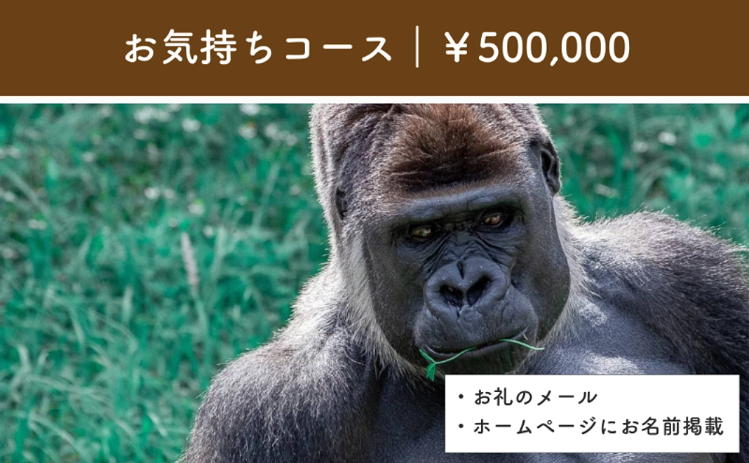 お気持ちコース｜500,000円