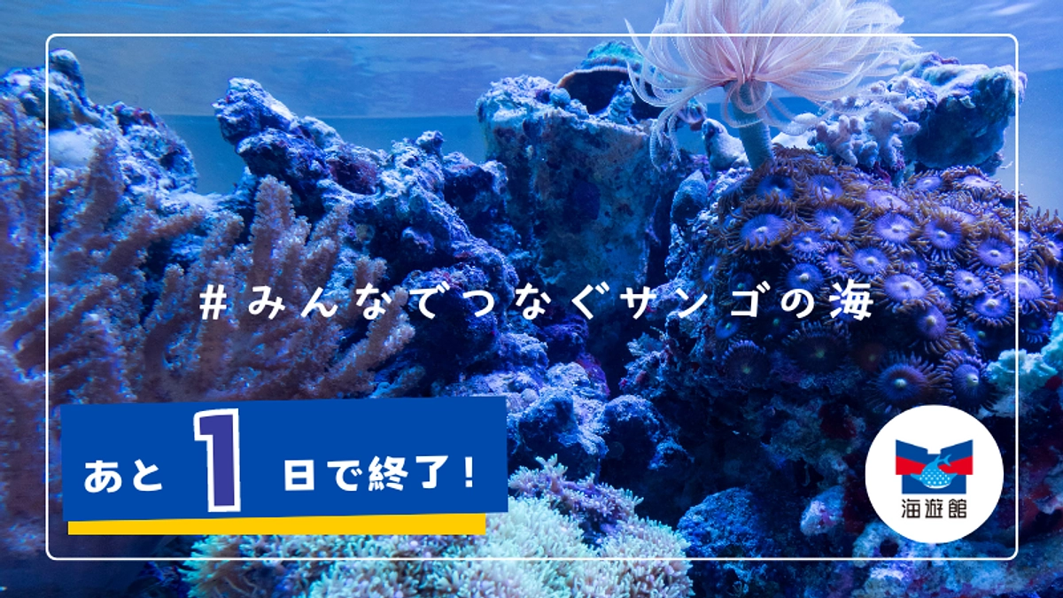 【残り1日】最終日インスタライブ（7/31 12:15～）のお知らせ