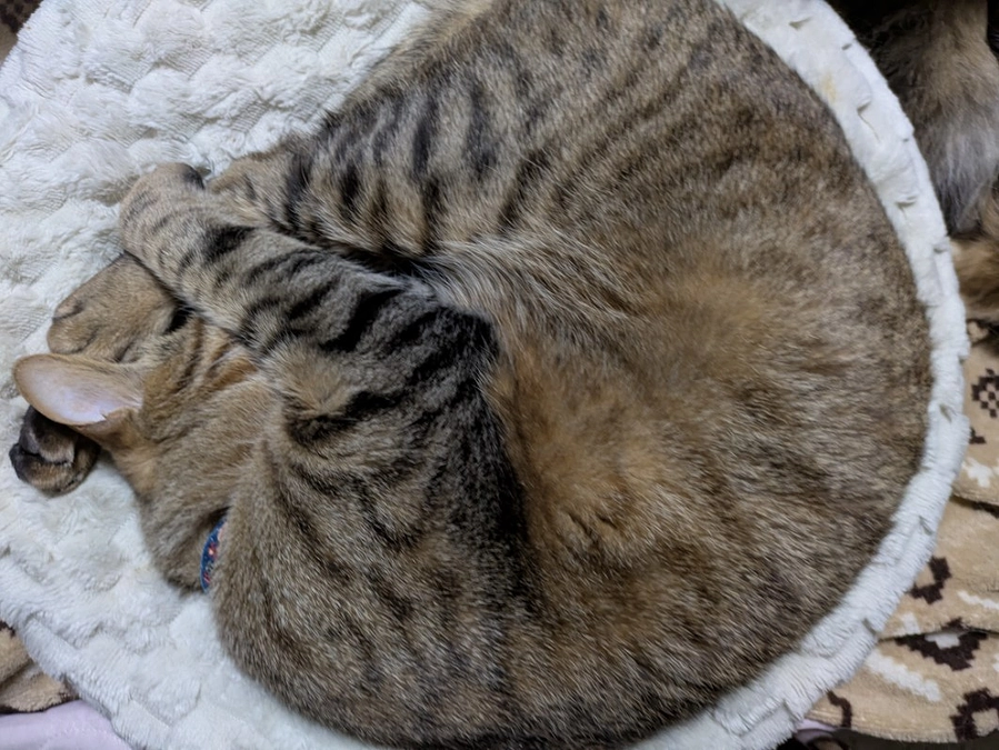 新しい取引様から食品も仕入れる様になりました。